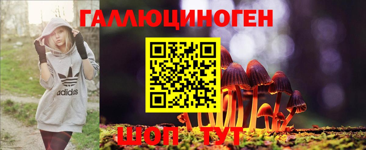 Галлюциногенные грибы MAGIC MUSHROOMS  Вход с VPN  Асино 